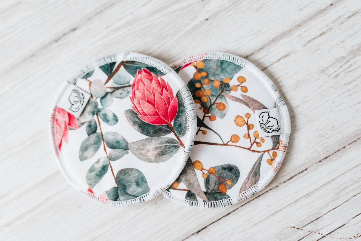 Nursing Pads (Day) - Protea Dance